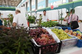 National Fruit And Vegetable Exhibition In Algeria