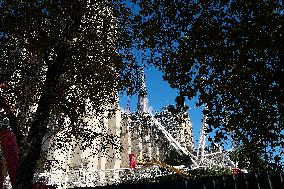 Illustration - Notre Dame De Paris - Paris