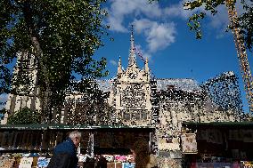 Illustration - Notre Dame De Paris - Paris