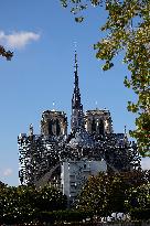 Illustration - Notre Dame De Paris - Paris