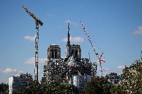 Illustration - Notre Dame De Paris - Paris