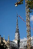 Illustration - Notre Dame De Paris - Paris