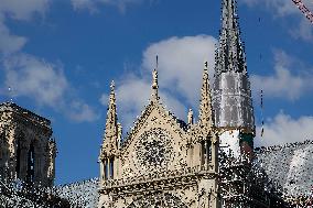 Illustration - Notre Dame De Paris - Paris