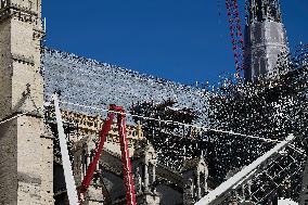 Illustration - Notre Dame De Paris - Paris