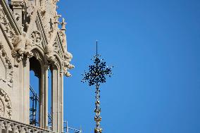 Illustration - Notre Dame De Paris - Paris