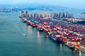 Qingdao Port Container Trade