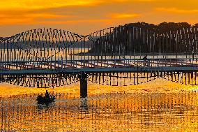 Rainbow Bridge Tour in Qingdao