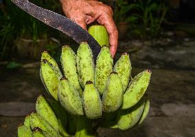 Calcium Carbide (CaC2) - Flammable Chemical - Artificially Ripen Fruits