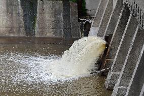 Dead Fish At The Collanges Dam