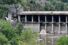 Dead Fish At The Collanges Dam