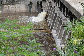 Dead Fish At The Collanges Dam