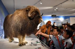 Natural History Museum in Qingdao