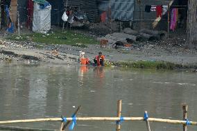 Polluted River Water Of Mahananda