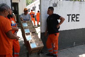 Departure of the TRE's unas from the Botanical Garden in Rio de Janeiro