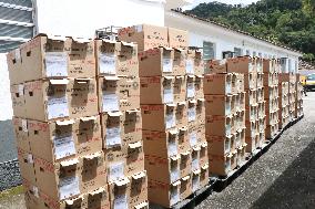 Departure of the TRE's unas from the Botanical Garden in Rio de Janeiro