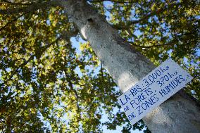 First ZAD (Zone To Defend) Against The LGV Highspeed Train Project Between Toulouse And Bordeaux