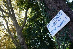 First ZAD (Zone To Defend) Against The LGV Highspeed Train Project Between Toulouse And Bordeaux