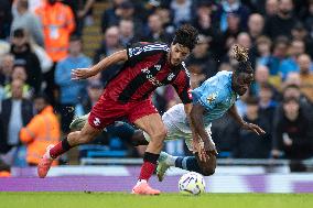 Manchester City FC v Fulham FC - Premier League