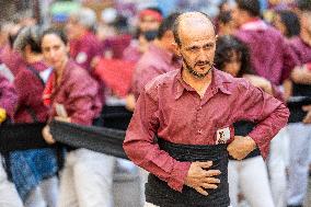 Concurs de Castells 2024