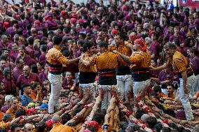 Concurs de Castells 2024