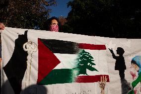 Pro-Palestinian Rally Near The White House, Washington DC, USA