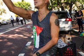 Pro-Palestinian Rally Near The White House, Washington DC, USA