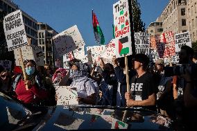 Pro-Palestinian Rally Near The White House, Washington DC, USA