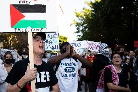 Pro-Palestinian Rally Near The White House, Washington DC, USA