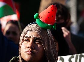 Demonstration for Palestine and Lebanon at the White House