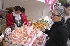 Japan festival in London