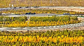 An Ecological Shelterbelt Along The Heihe River in Zhangye