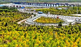 An Ecological Shelterbelt Along The Heihe River in Zhangye