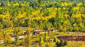 An Ecological Shelterbelt Along The Heihe River in Zhangye