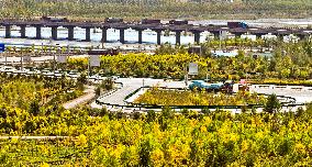 An Ecological Shelterbelt Along The Heihe River in Zhangye