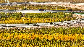 An Ecological Shelterbelt Along The Heihe River in Zhangye