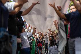 Demonstration In Support Of Palestine And Liban - Madrid