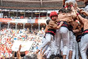 Concurs De Castells 2024