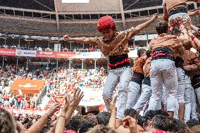 Concurs De Castells 2024