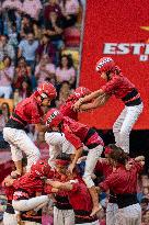 Concurs De Castells 2024