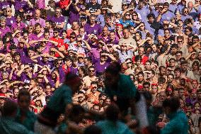 Concurs De Castells 2024