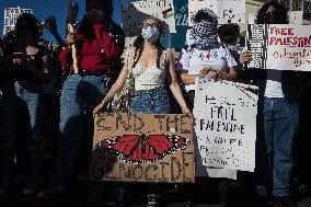 Demonstration for Palestine and Lebanon at the White House