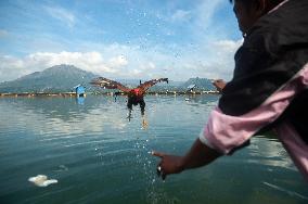 The Balinese Fighting Roosters