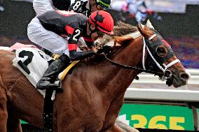 Thoroughbred Horse Racing At Woodbine Racetrack - October 6, 2024