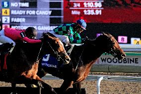 Thoroughbred Horse Racing At Woodbine Racetrack - October 6, 2024