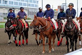 Thoroughbred Horse Racing At Woodbine Racetrack - October 6, 2024