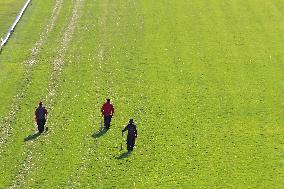 Thoroughbred Horse Racing At Woodbine Racetrack - October 6, 2024