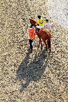 Thoroughbred Horse Racing At Woodbine Racetrack - October 6, 2024