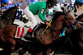 Thoroughbred Horse Racing At Woodbine Racetrack - October 6, 2024