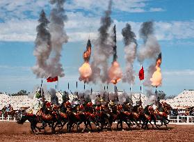 Moroccan Equestrian Performance - El Jadida