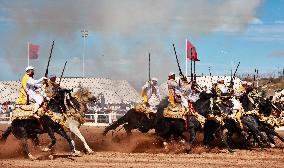 Moroccan Equestrian Performance - El Jadida